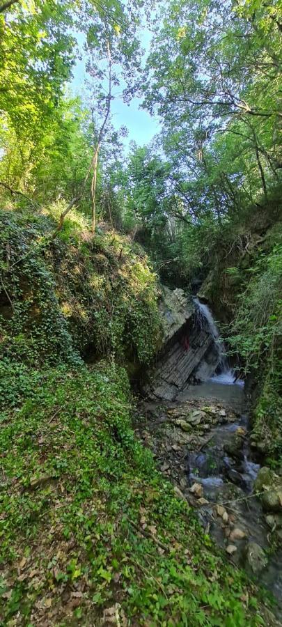 Ca' Del Tartufaio Villa Castelmauro Eksteriør bilde